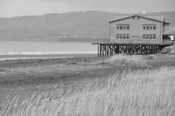 Praia formada pela 'spit' de Homer, na Península do Kenai, no sul do Alaska